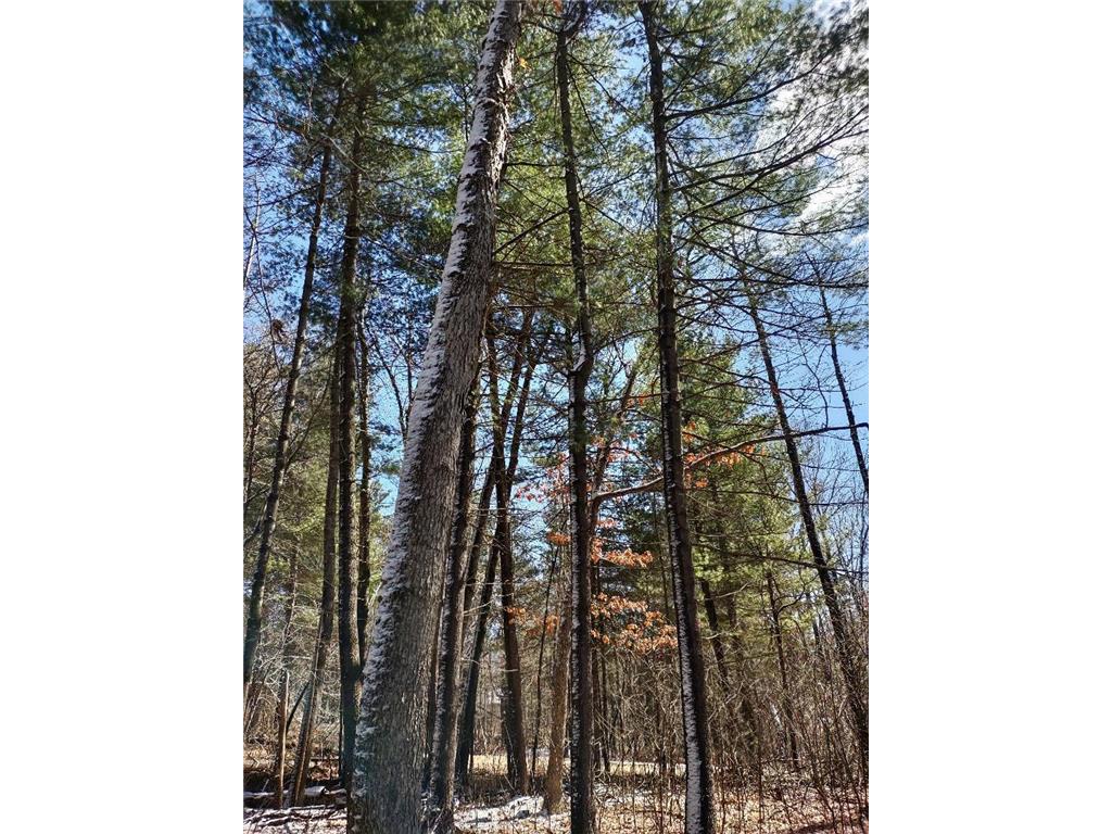 Lot 18 N4XX 297th Street Eau Galle WI 54737 6697109 image7