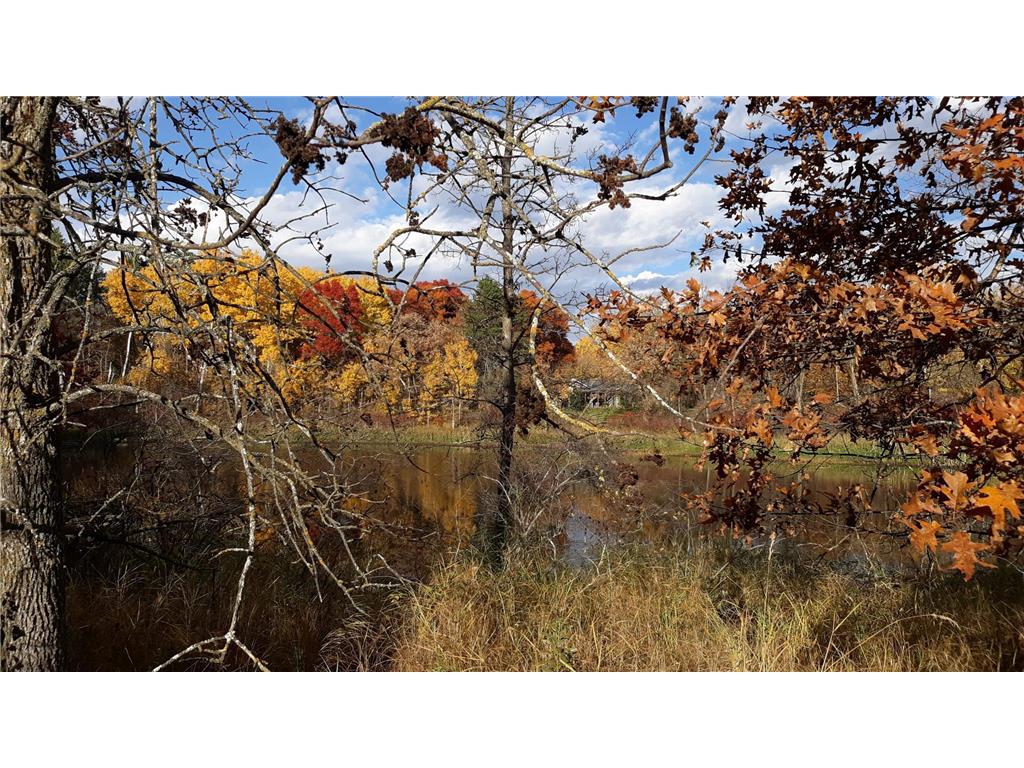 xxx Oriole Court Moran Twp MN 56438 - Fawn 6436426 image1