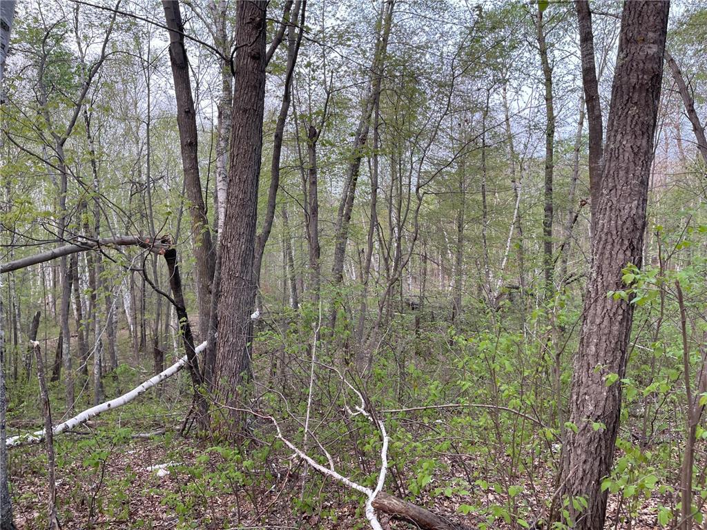 Lot 18 White Overlook Drive Breezy Point MN 56472 6372444 image1