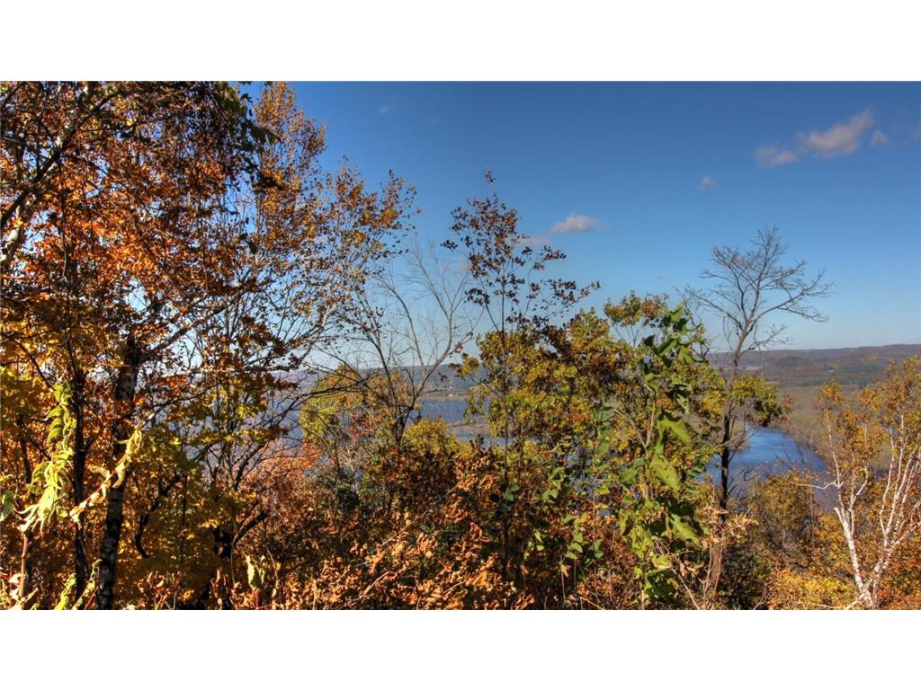 Lot 19 215th Avenue Wabasha MN 55981 - Mississippi 6500819 image13