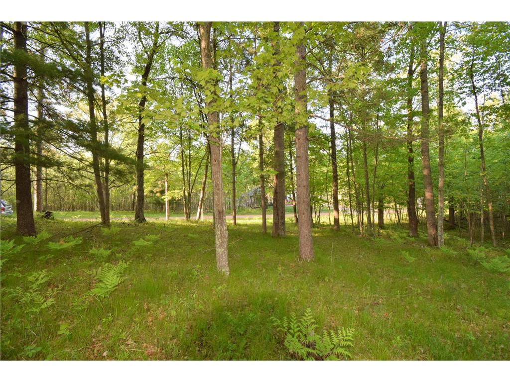 Lot 19 Aspen Hill Trailway Jackson Twp WI 54893 7085499 image10