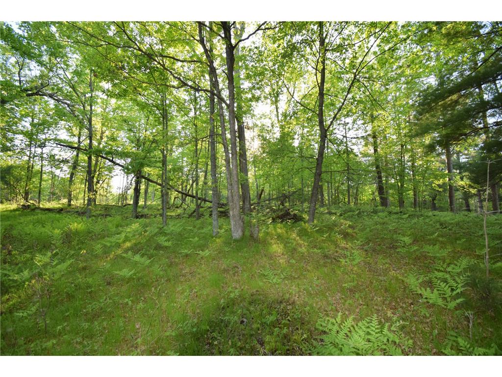 Lot 19 Aspen Hill Trailway Jackson Twp WI 54893 7085499 image11