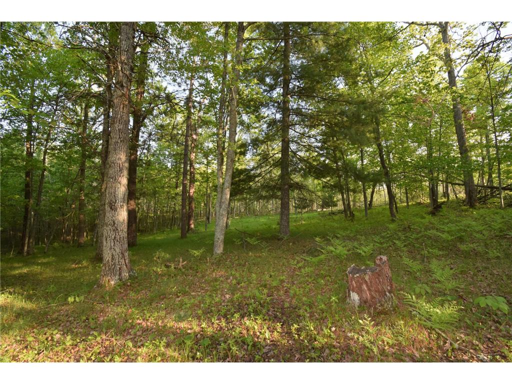 Lot 19 Aspen Hill Trailway Jackson Twp WI 54893 7085499 image7