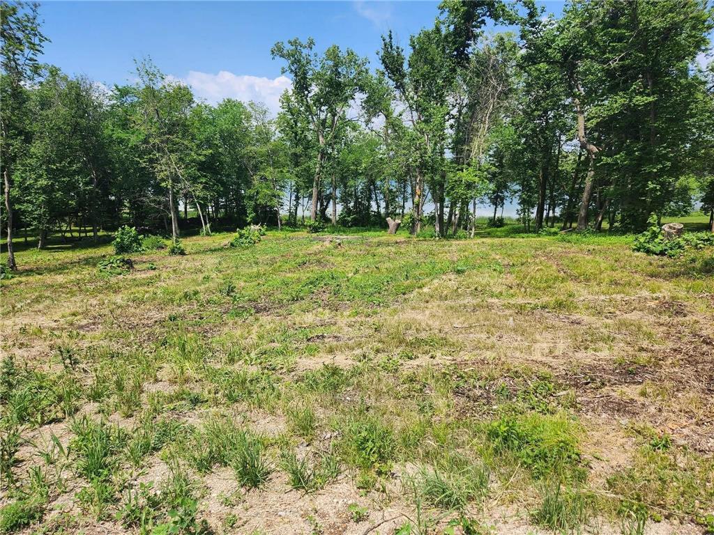 Lot 2 125th Street Saint Olaf Twp MN 56324 - Sewell 7008729 image1