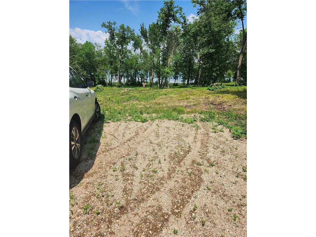 Lot 2 125th Street Saint Olaf Twp MN 56324 - Sewell 7008729 image4
