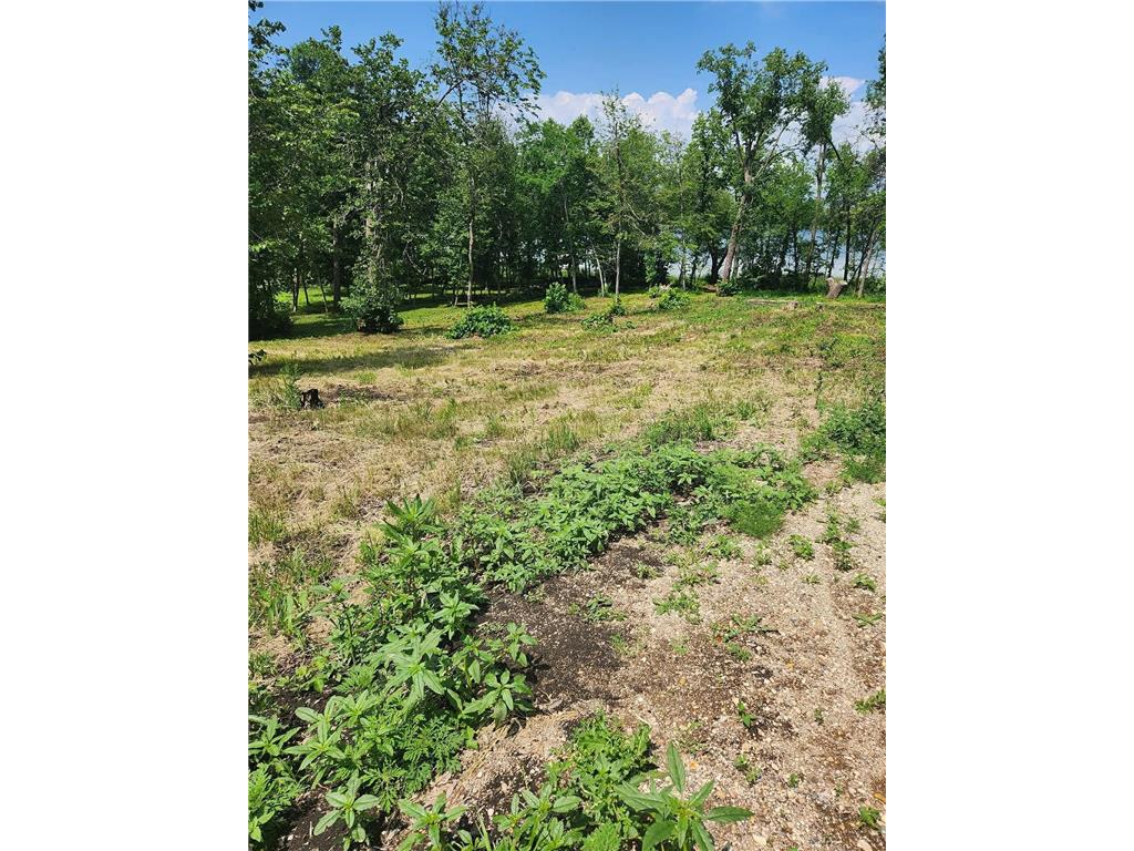 Lot 2 125th Street Saint Olaf Twp MN 56324 - Sewell 7008729 image5