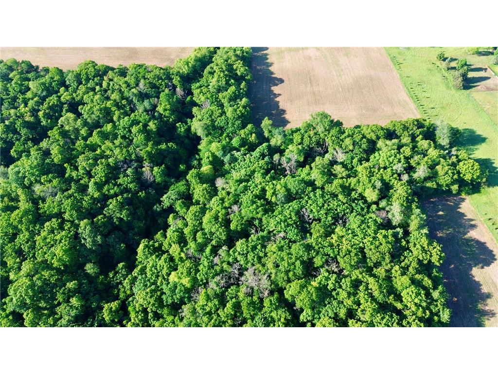Lot 2 160th Ave Salem Twp WI 54750 7091505 image1