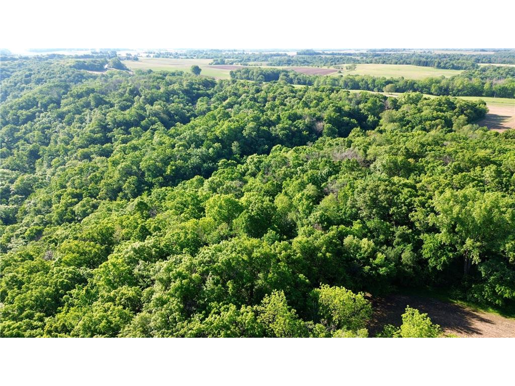 Lot 2 160th Ave Salem Twp WI 54750 7091505 image12