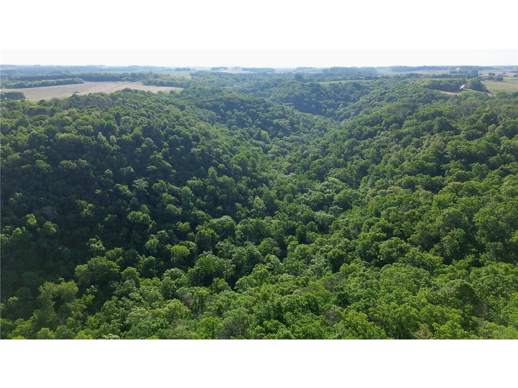 Lot 2 160th Ave Salem Twp WI 54750 7091505 image13