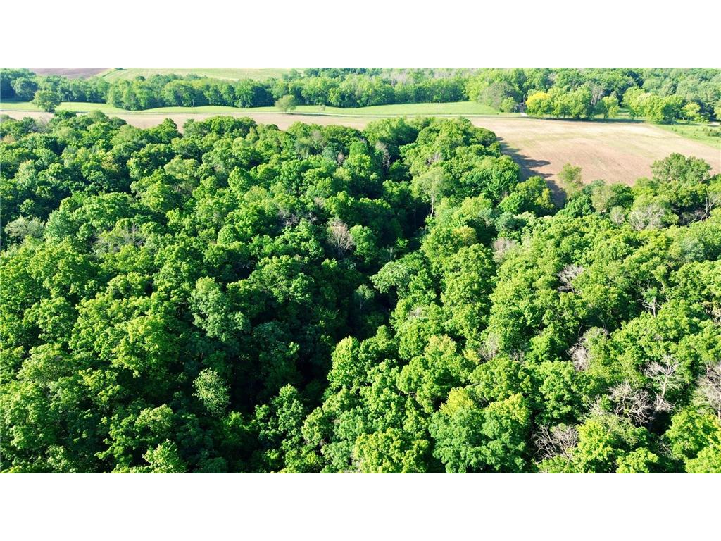 Lot 2 160th Ave Salem Twp WI 54750 7091505 image14