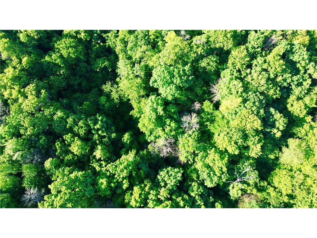 Lot 2 160th Ave Salem Twp WI 54750 7091505 image16
