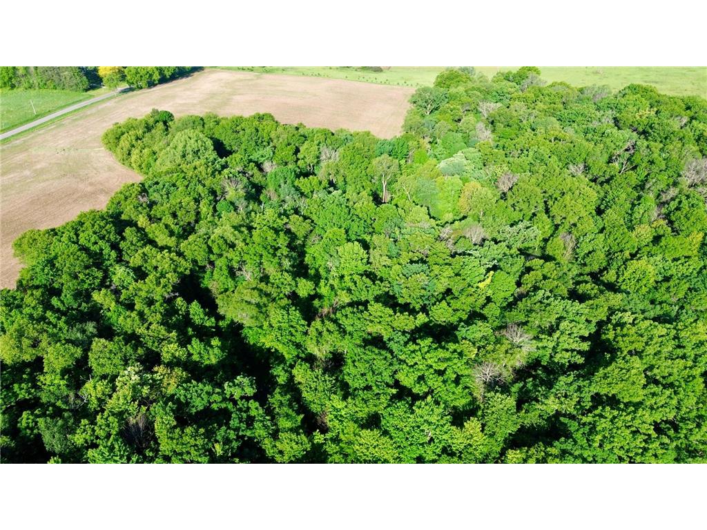 Lot 2 160th Ave Salem Twp WI 54750 7091505 image17