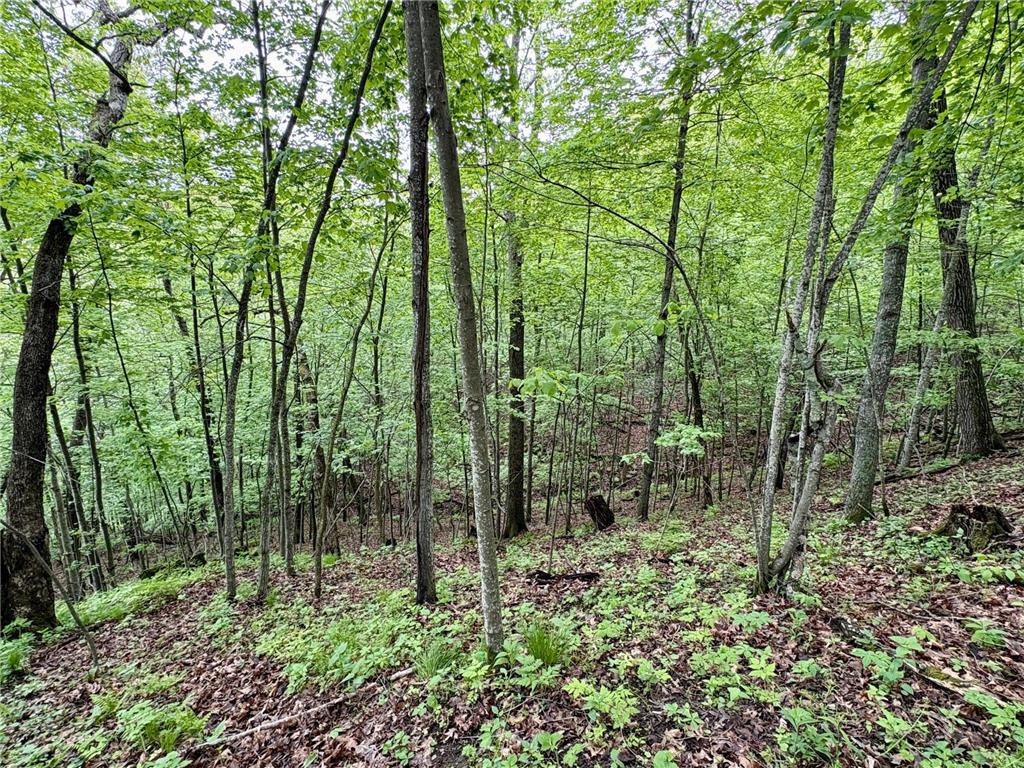 Lot 2 160th Ave Salem Twp WI 54750 7091505 image22