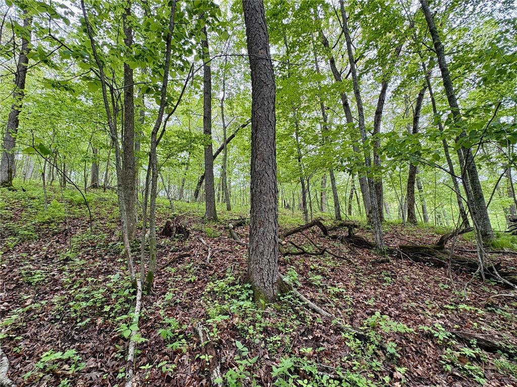 Lot 2 160th Ave Salem Twp WI 54750 7091505 image23