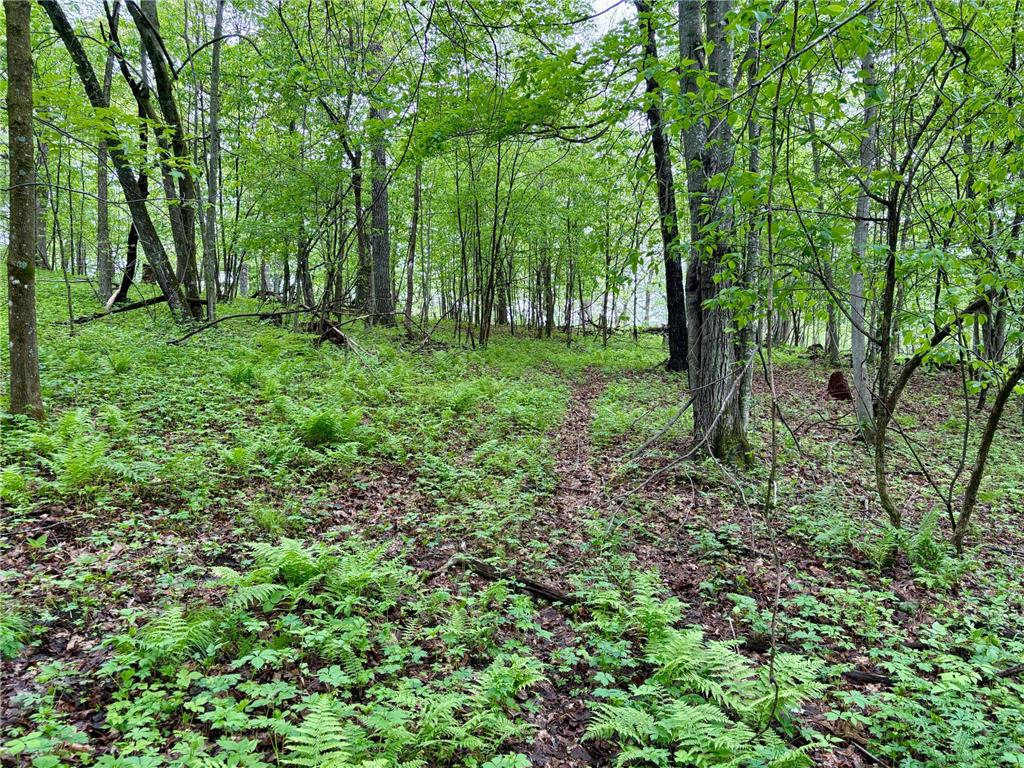 Lot 2 160th Ave Salem Twp WI 54750 7091505 image24