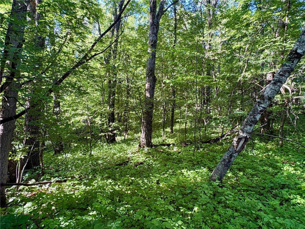 Lot 2 160th Ave Salem Twp WI 54750 7091505 image25