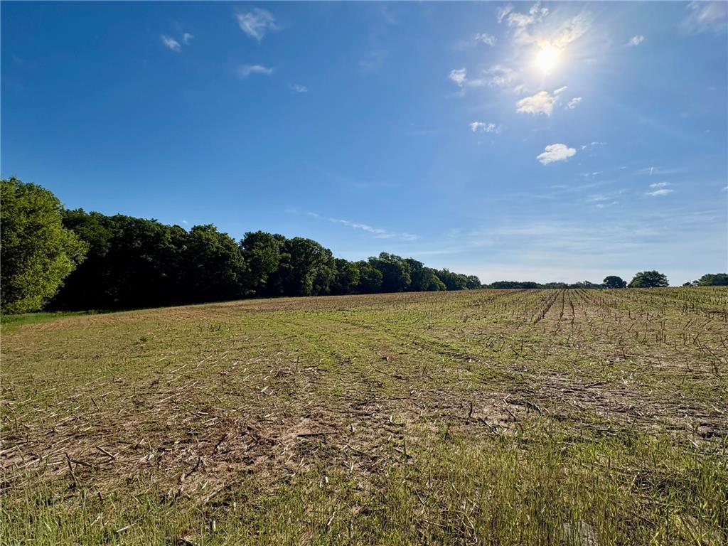 Lot 2 160th Ave Salem Twp WI 54750 7091505 image32