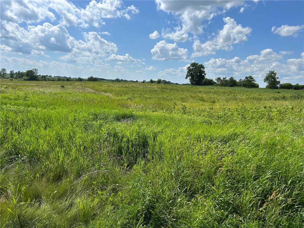 Lot #2 235th Street Baldwin WI 54002 6751884 image1