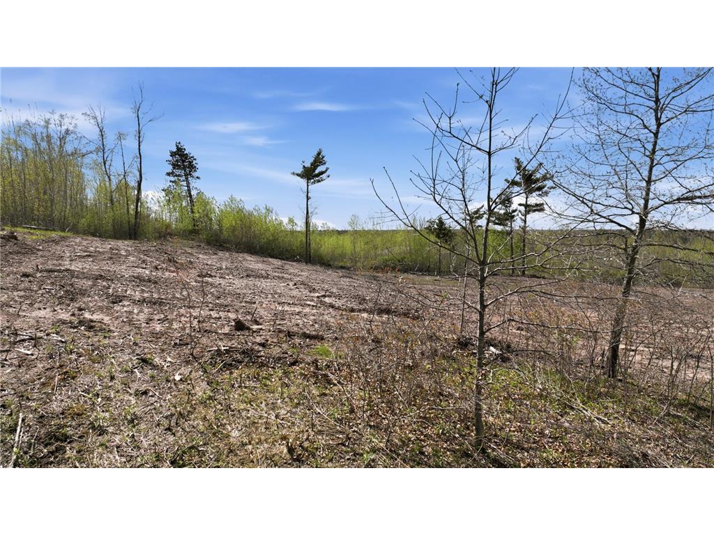 Lot 2 25th Street Chetek Twp WI 54728 6825437 image15