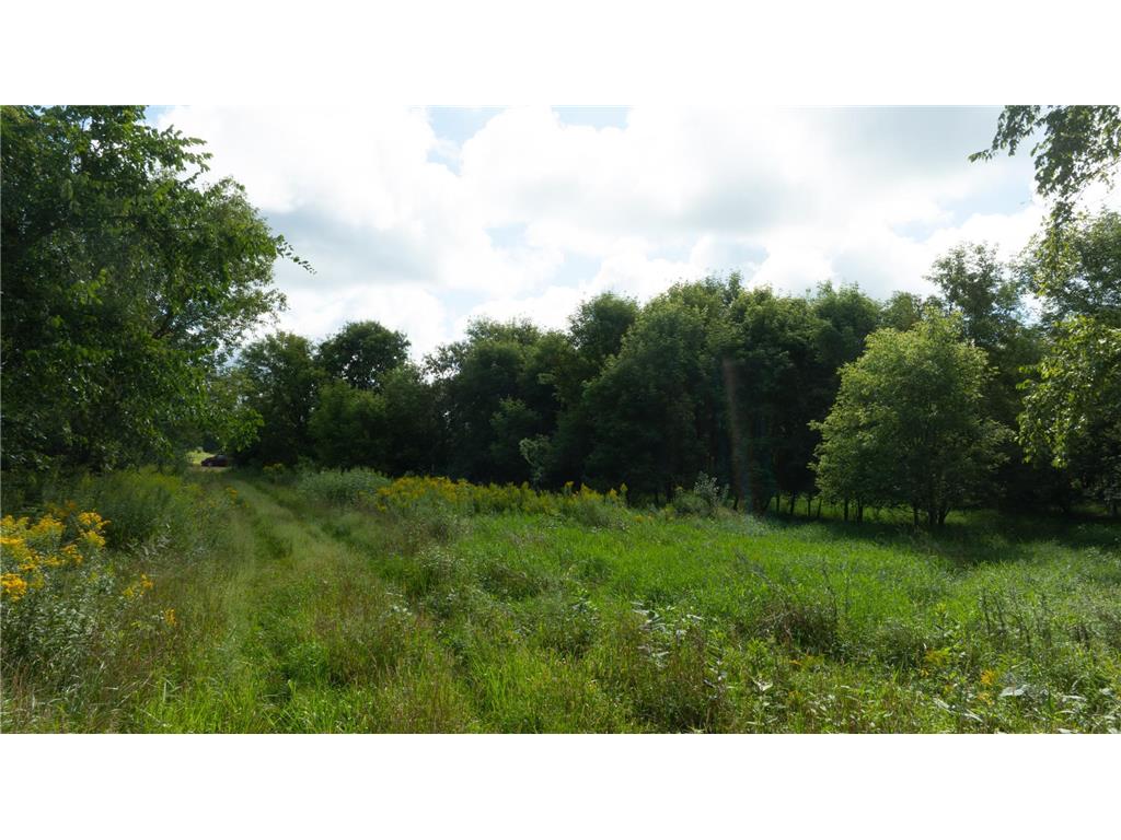 Lot 2 280th Street Glenwood City WI 54013 6822195 image8