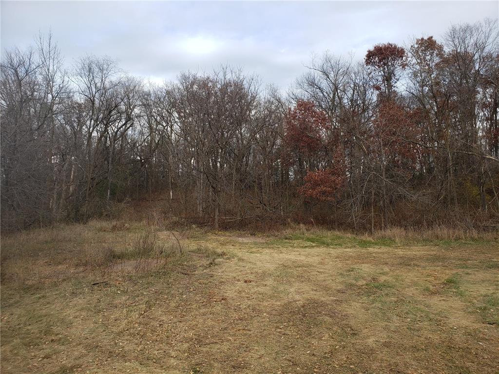 Lot 2 & 3 County Road M / 202nd St Alden Twp WI 54026 6818874 image1
