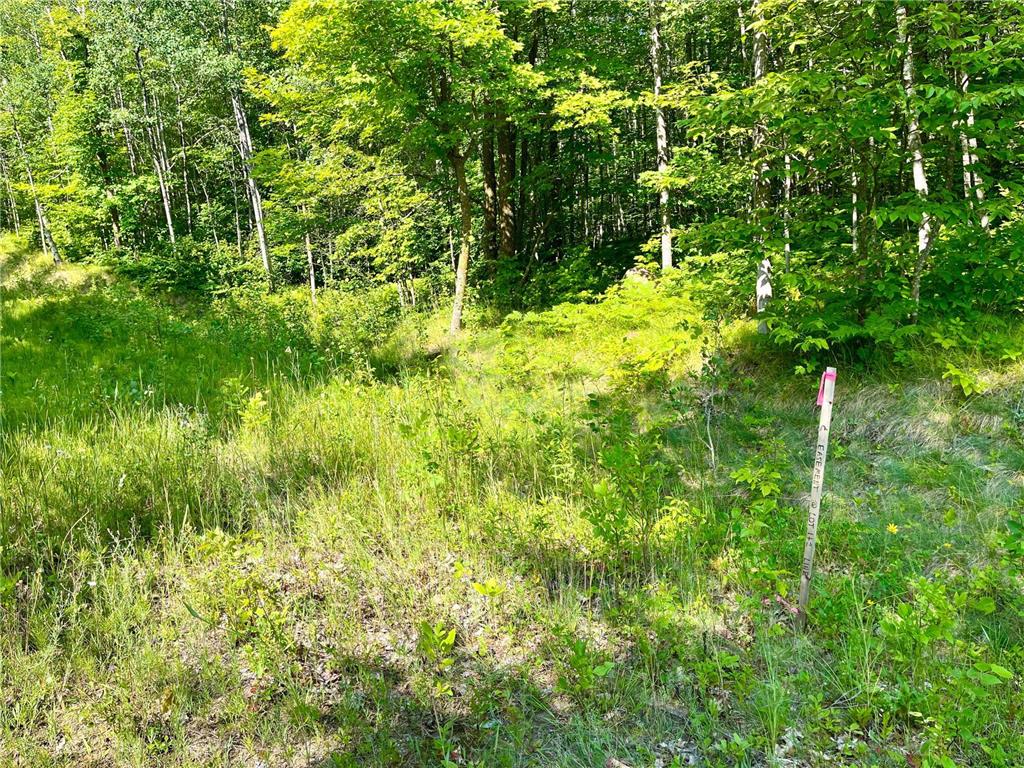 Lot 2 & 3 Evergreen Drive NW Hackensack MN 56452 6405897 image1