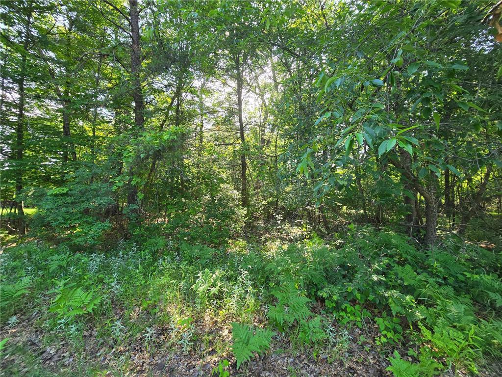 Lot 2 & 3 N Nelson N Grantsburg WI 54840 6743668 image1