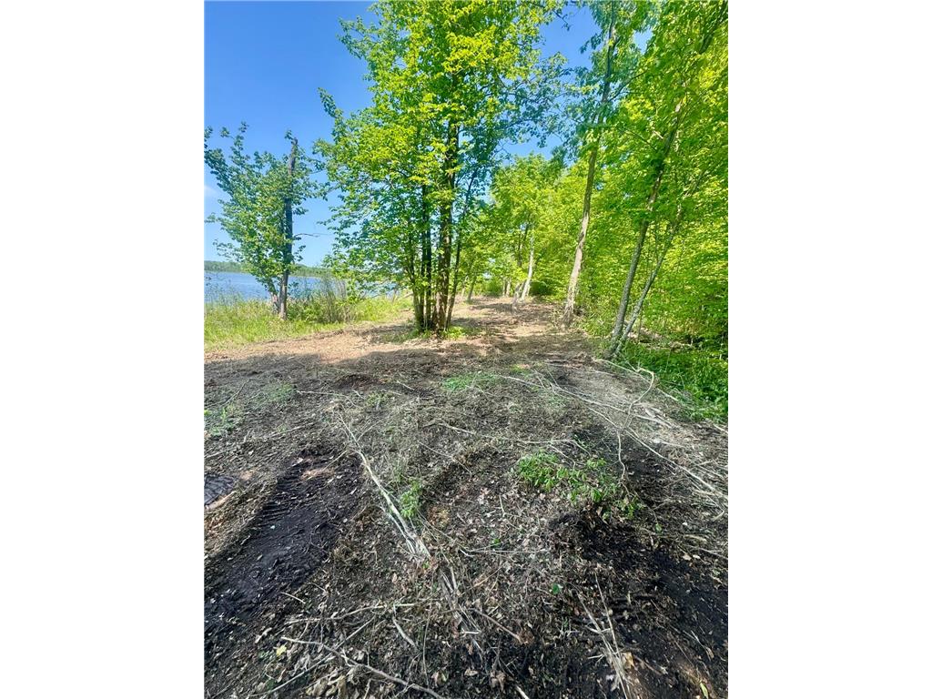 Lot 2 454th Place Hazelton Twp MN 56431 - Birch 7085674 image5