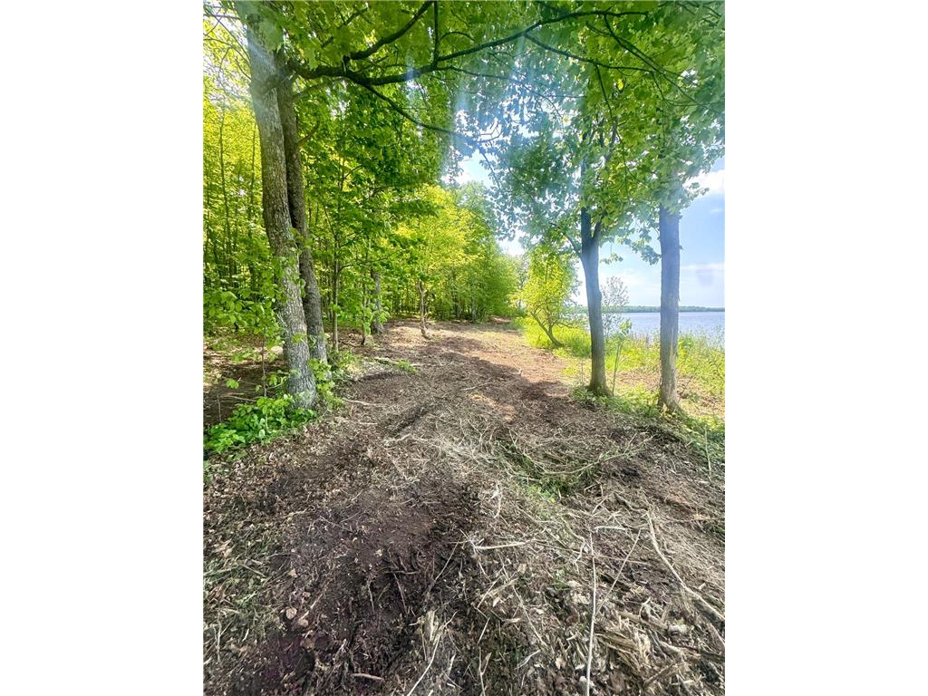 Lot 2 454th Place Hazelton Twp MN 56431 - Birch 7085674 image6