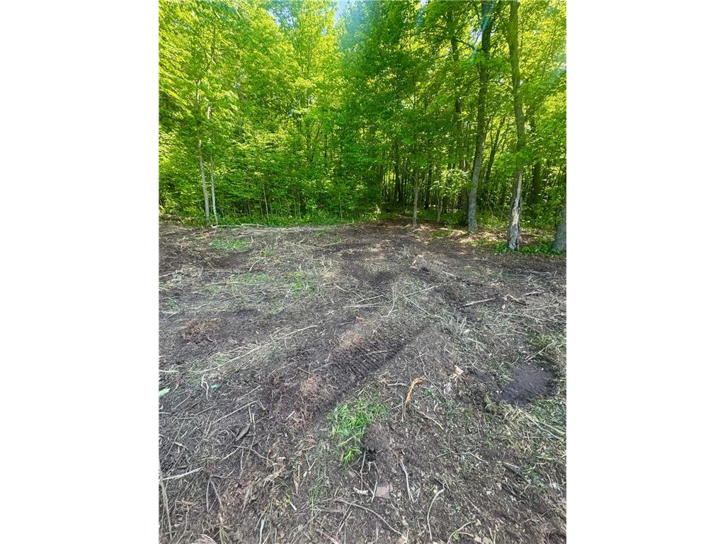 Lot 2 454th Place Hazelton Twp MN 56431 - Birch 7085674 image7