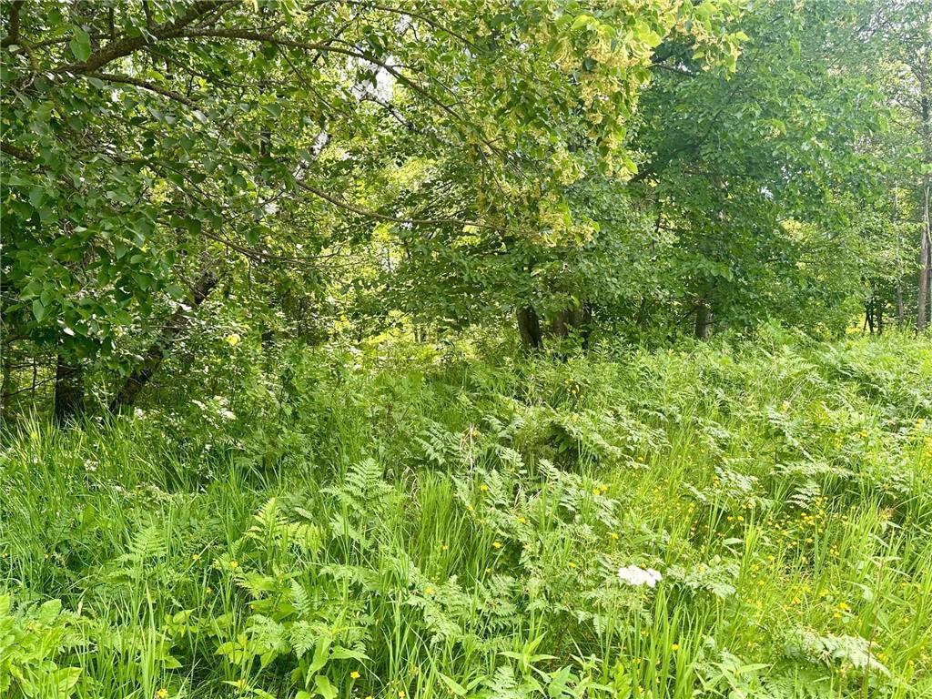 Lot 2 Blk 1 Eagle Drive NW Leech Lake Twp MN 56484 7040948 image2