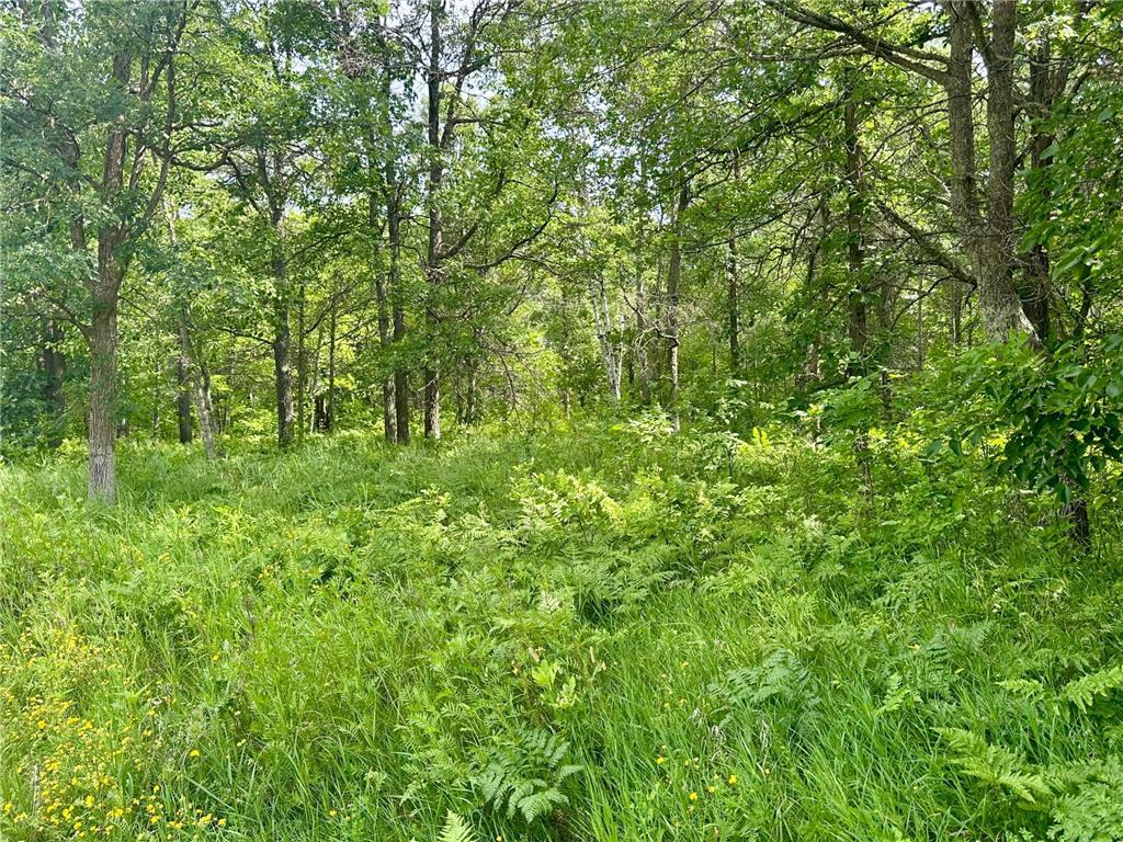 Lot 2 Blk 1 Eagle Drive NW Leech Lake Twp MN 56484 7040948 image3