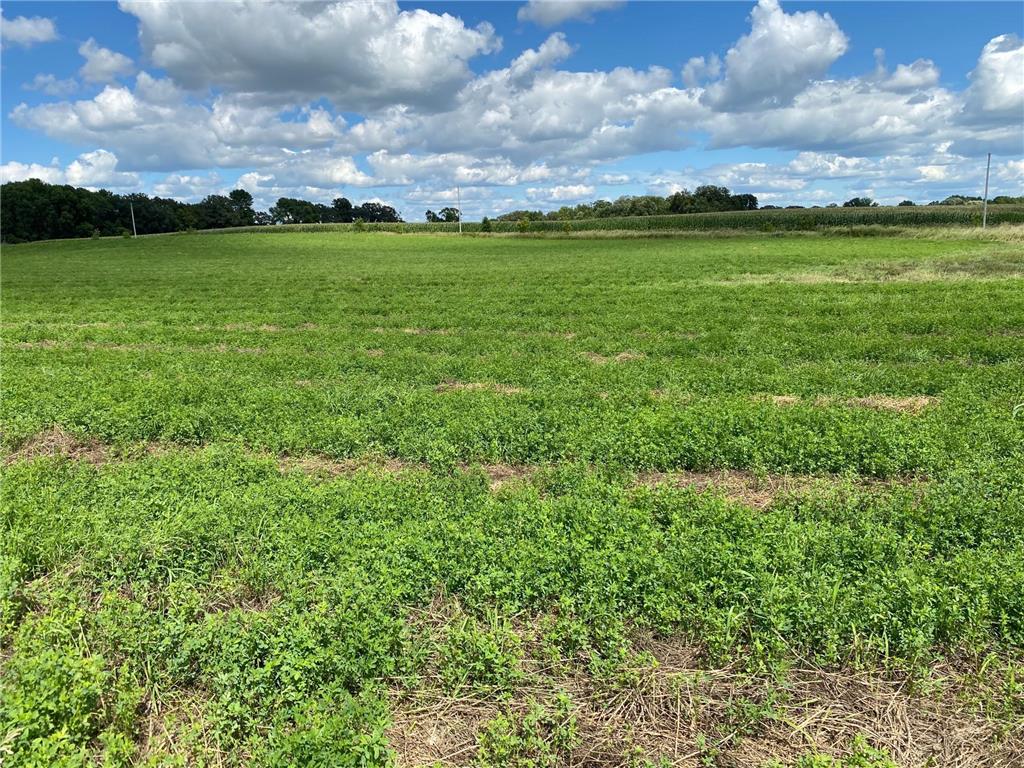 Lot 2 Blk 2 Serenity Drive SW Alexandria MN 56308 7053965 image3