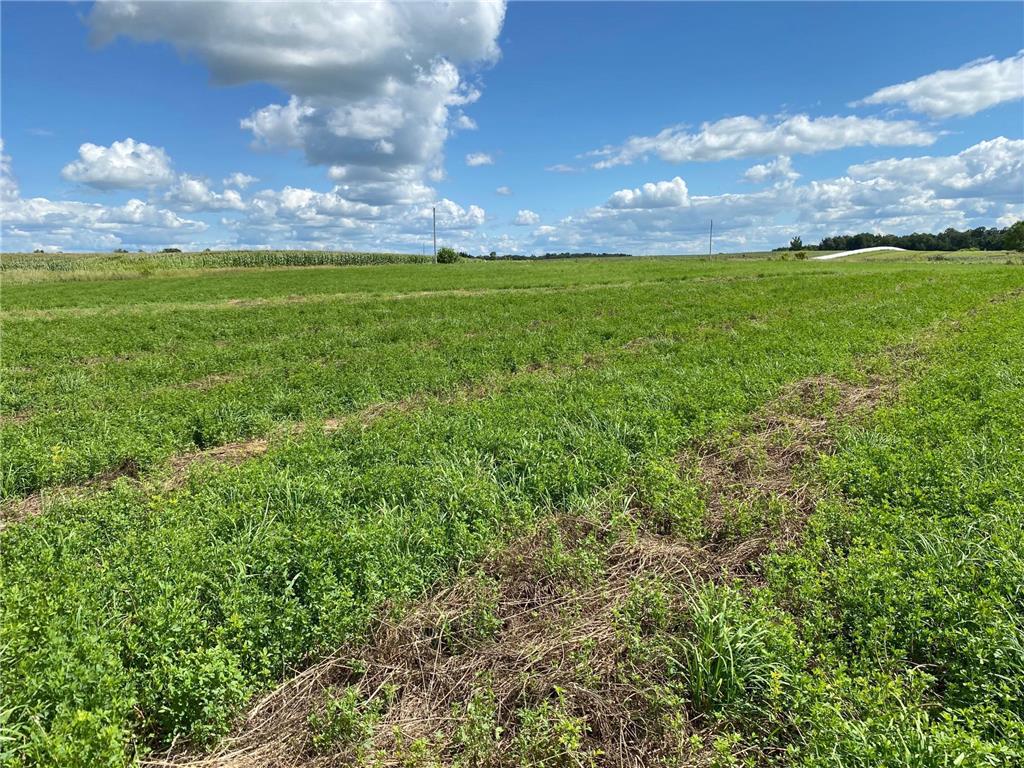 Lot 2 Blk 2 Serenity Drive SW Alexandria MN 56308 7053965 image5