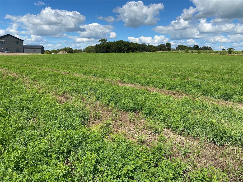 Lot 2 Blk 2 Serenity Drive SW Alexandria MN 56308 7053965 image6