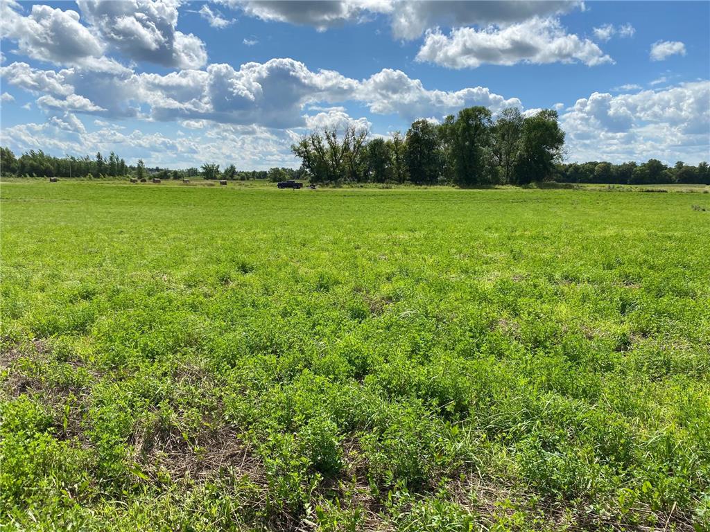 Lot 2 Blk 2 Serenity Drive SW Alexandria MN 56308 7053965 image8