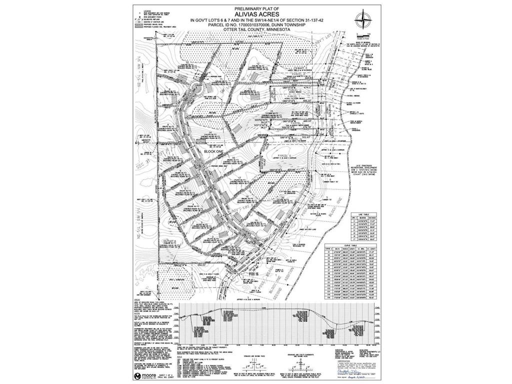 Lot 2 Block 1 Alivia's Avenue Pelican Rapids MN 56572 6813193 image9