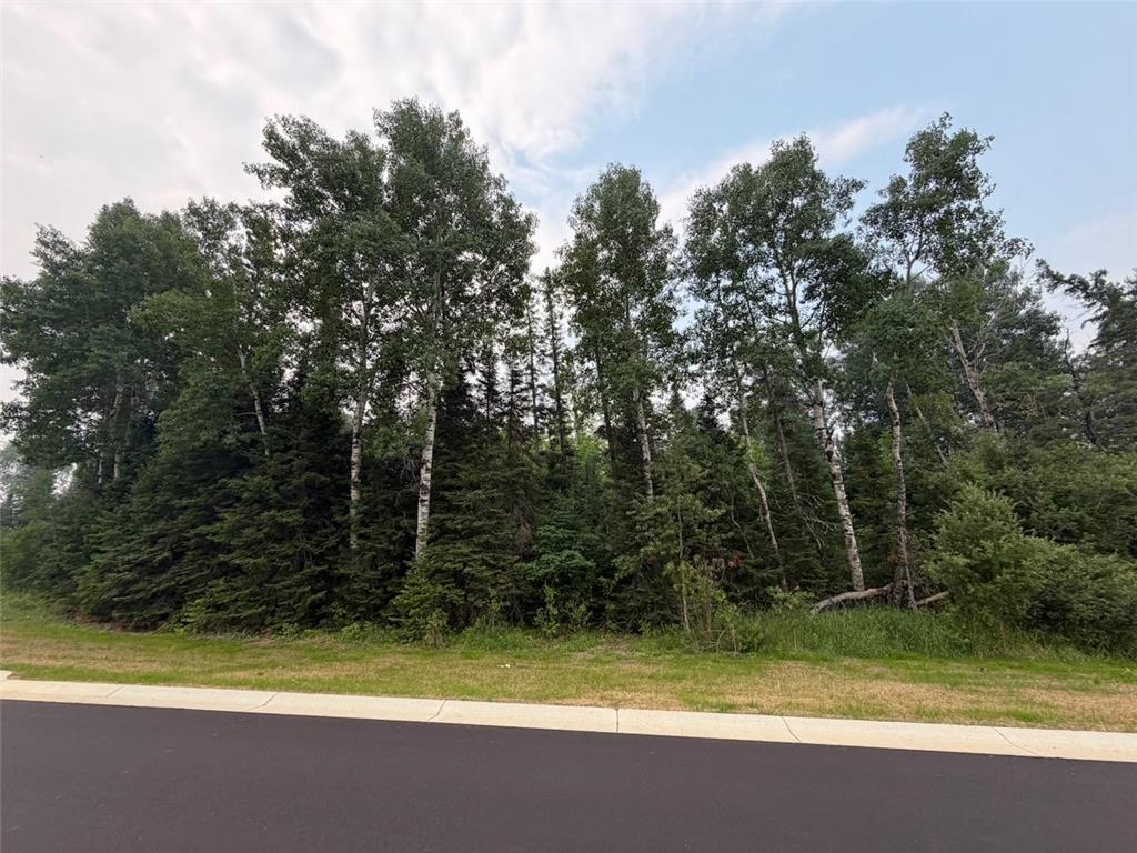 Lot 2 Block 2 Eldien Dr Cook MN 55723 7111894 image2