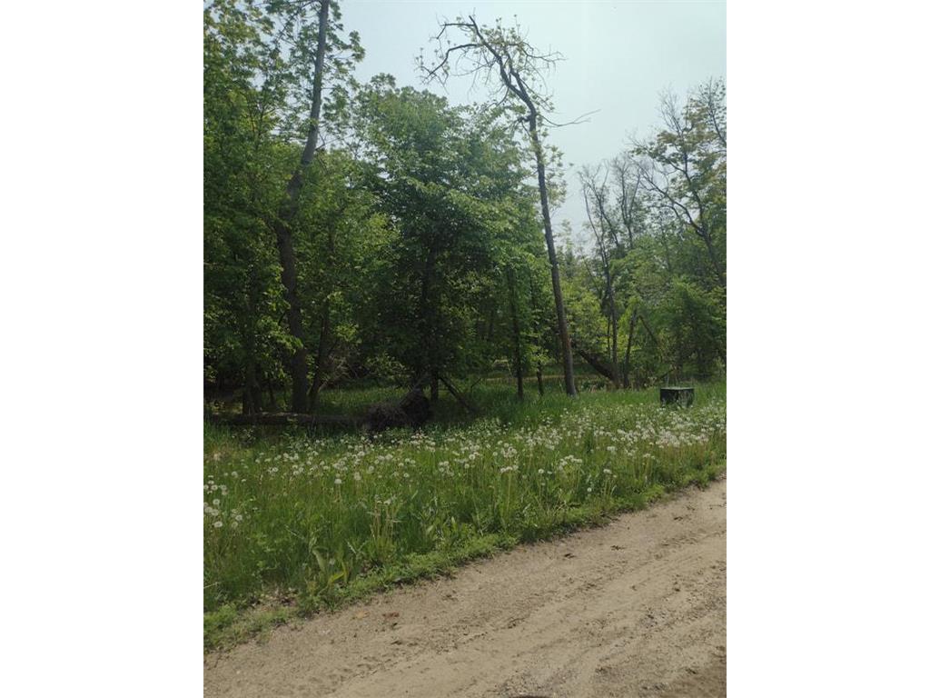 Lot 2 Block 3 Crystal Beach Road Pelican Rapids MN 56572 7009609 image1