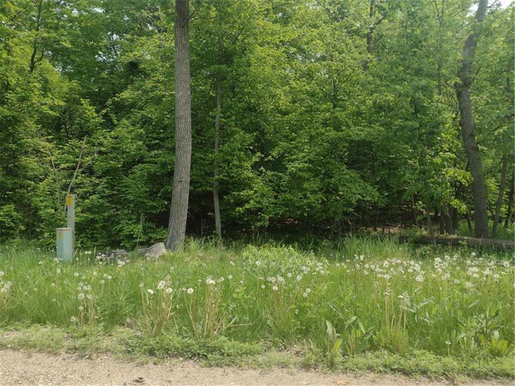 Lot 2 Block 3 Crystal Beach Road Pelican Rapids MN 56572 7009609 image2