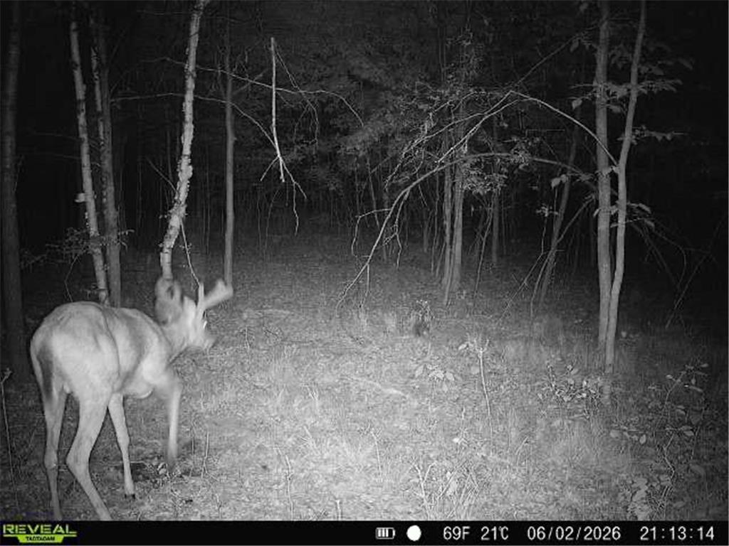 Lot 2 CSM 7522 4th Street Vance Creek Twp WI 54004 7110881 image16
