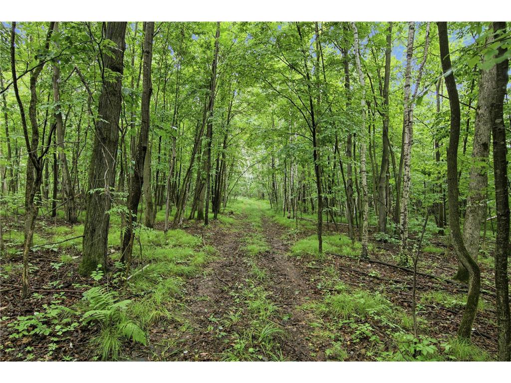 Lot 2 CSM 7522 4th Street Vance Creek Twp WI 54004 7110881 image3