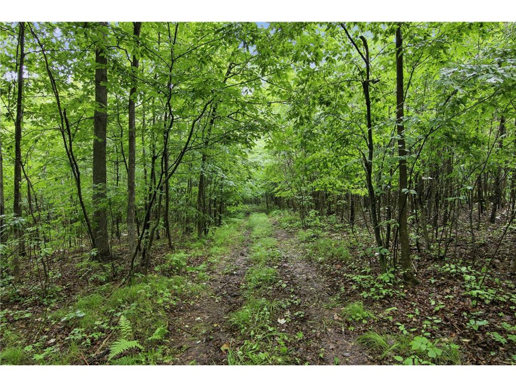 Lot 2 CSM 7522 4th Street Vance Creek Twp WI 54004 7110881 image4