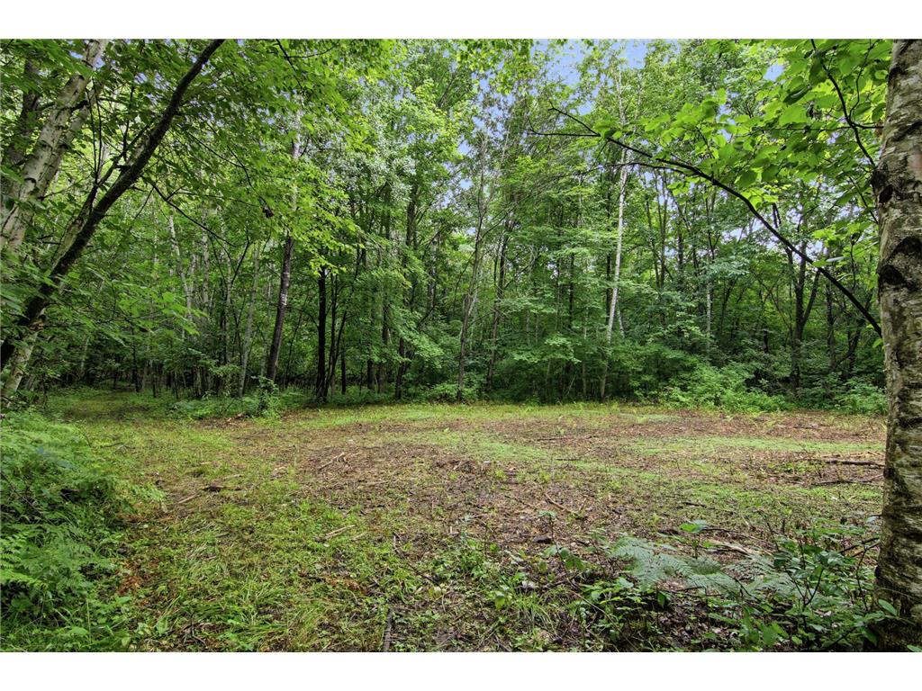 Lot 2 CSM 7522 4th Street Vance Creek Twp WI 54004 7110881 image5