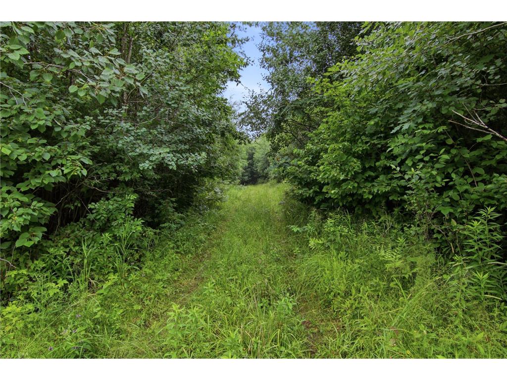 Lot 2 CSM 7522 4th Street Vance Creek Twp WI 54004 7110881 image8