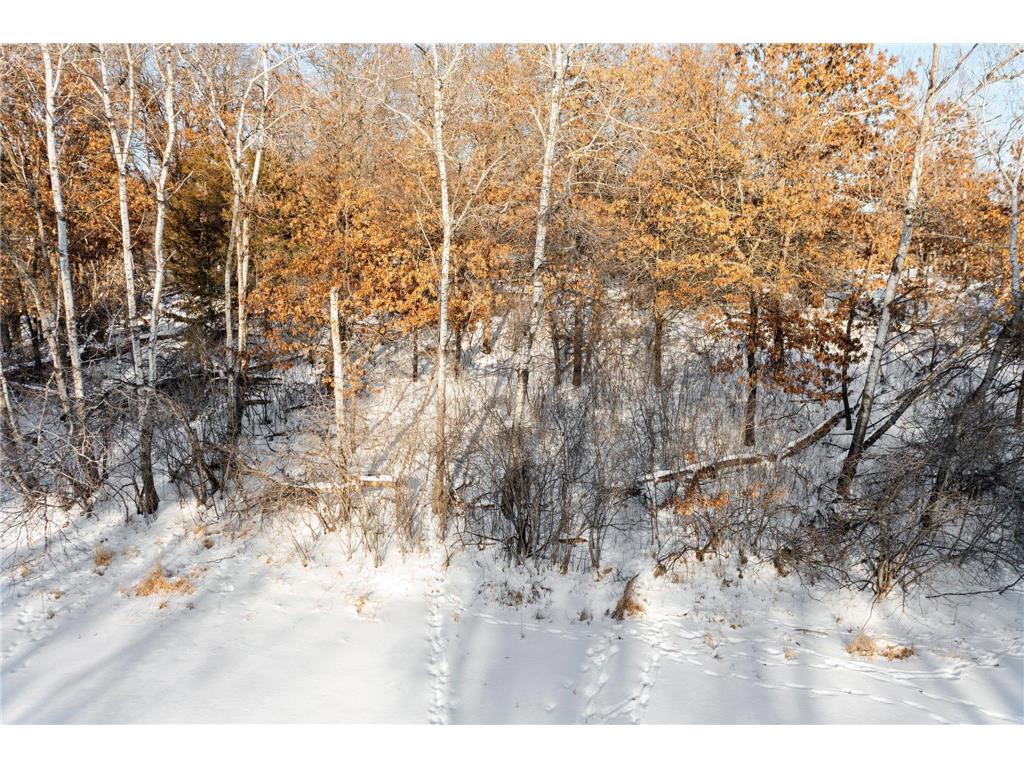 Lot 2 Central Drive NE Cambridge MN 55008 6740227 image32