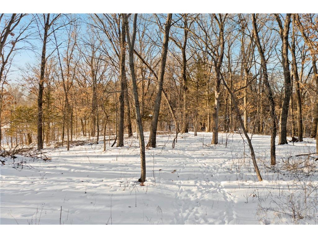 Lot 2 Central Drive NE Cambridge MN 55008 6740227 image36