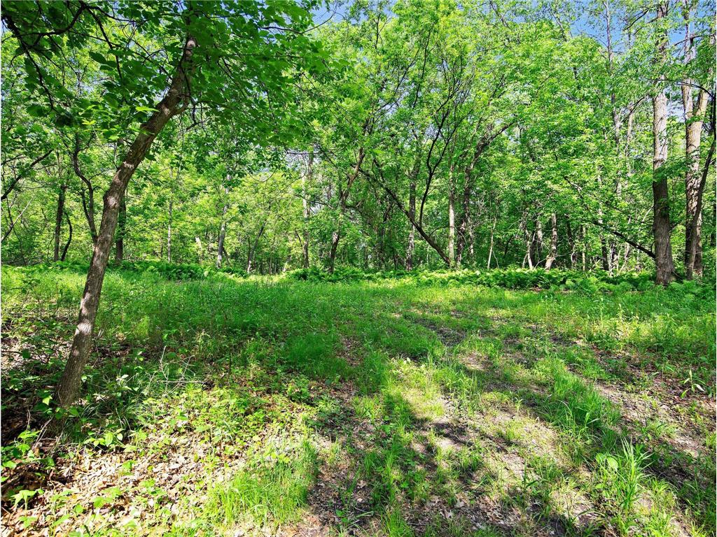 Lot 2 Central Drive NE Cambridge MN 55008 6740227 image7