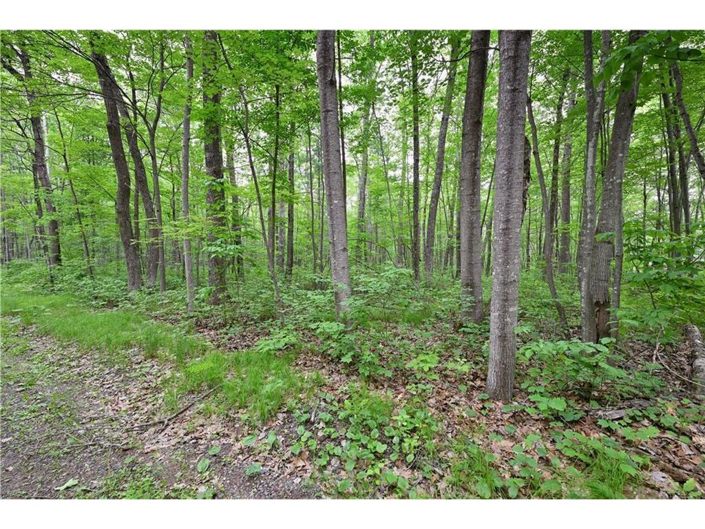 Lot 2 Chippewa Avenue Bass Lake Twp WI 54843 7000664 image2