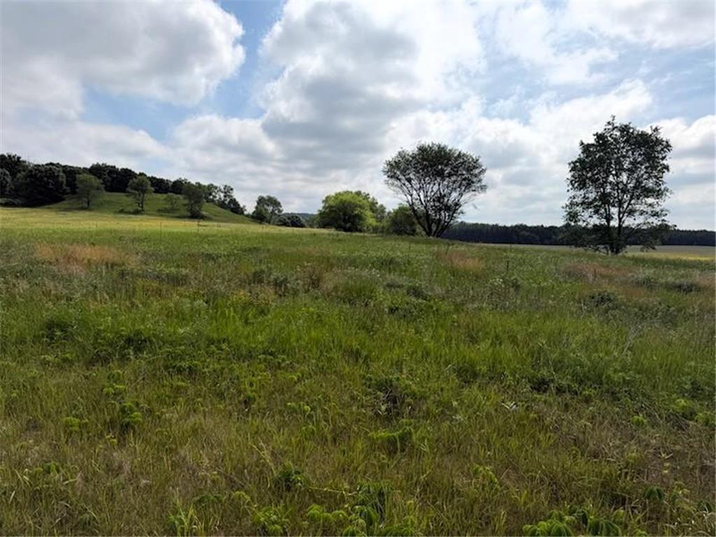 Lot 2 County Rd F Hay River Twp WI 54725 7085559 image4